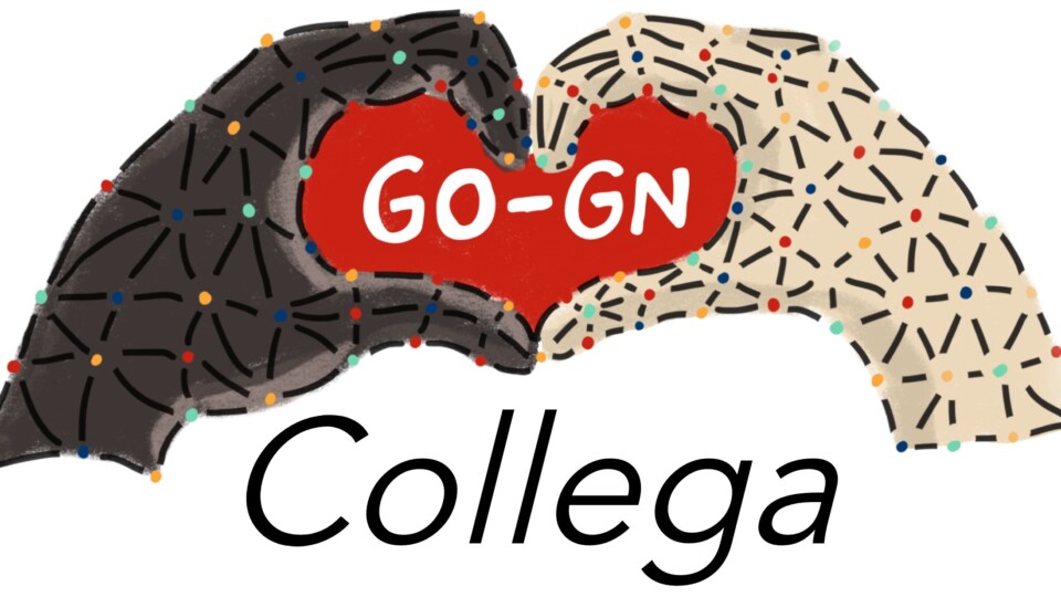 GO-GN Collega mentoring program